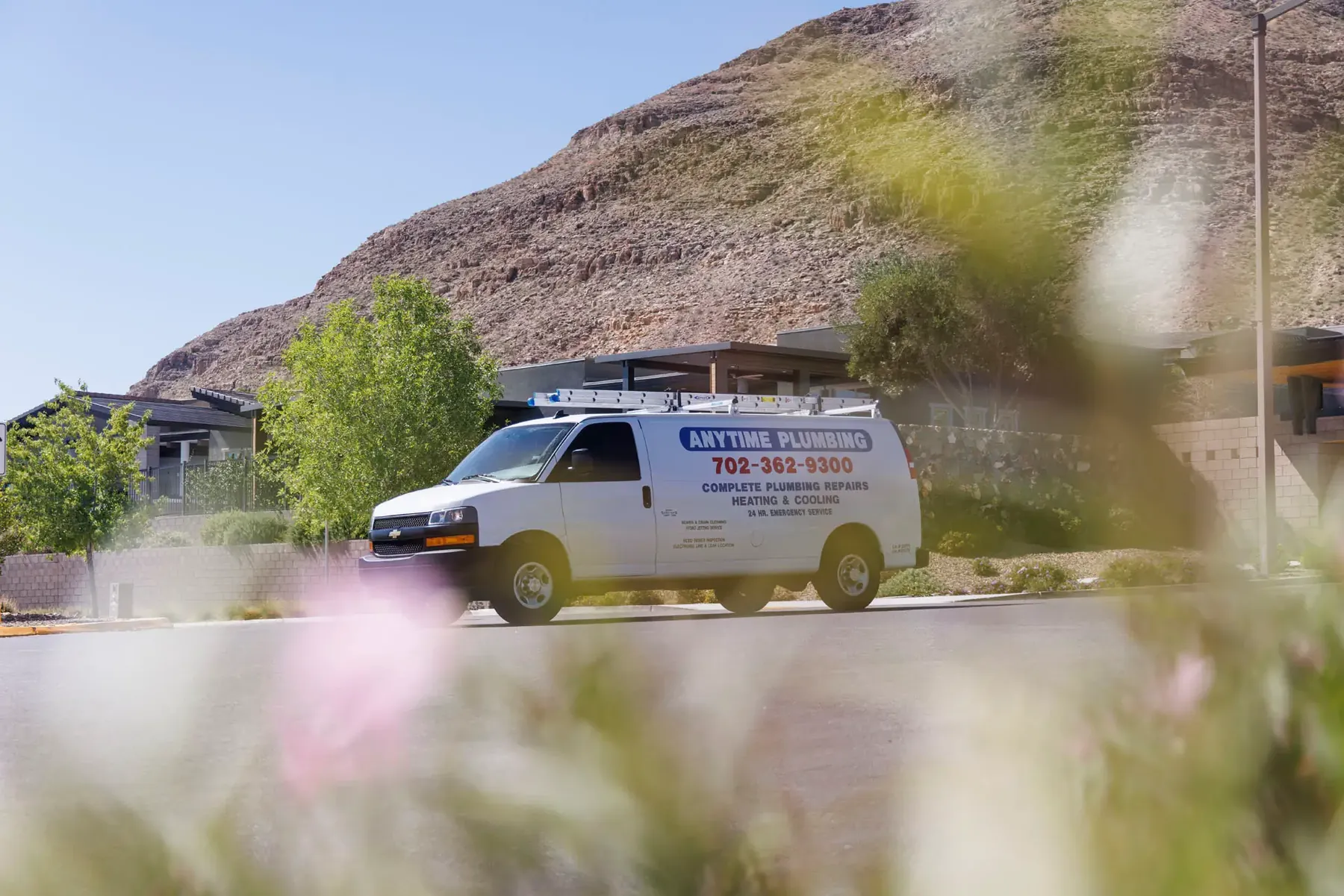 An Anytime Plumbing van on a street below a desert mountain, flowers in the foreground